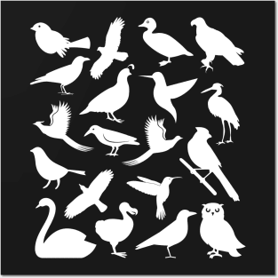 Birding Design | Bird Watching Posters and Art
